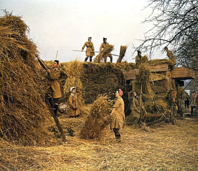 #35 Land army girls, 1944