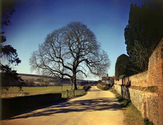 #41 Hambleden, May 1944