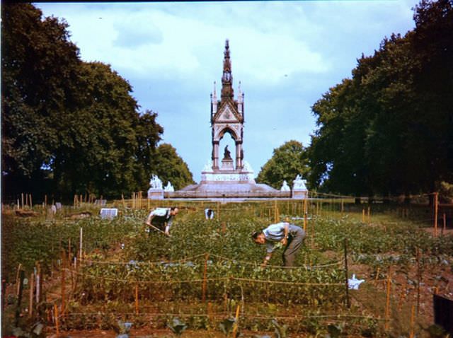#51 Albert Memorial, April 1944