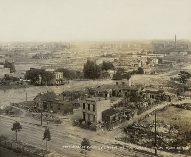 #19 Panoramic Birds Eye view of Pigtown (on a modern map this would include parts of Crown Heights)