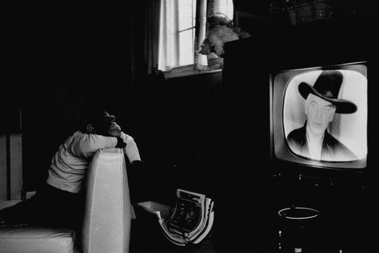 #4 A performing chimpanzee named Zippy watches TV in 1955