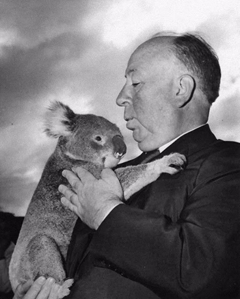 #3 Hugging a koala