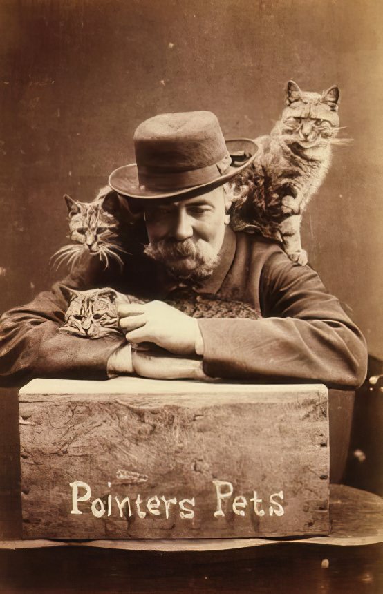 The Brighton Cats: Harry Pointer’s Hilarious Feline Photography from the Late 1800s Photography