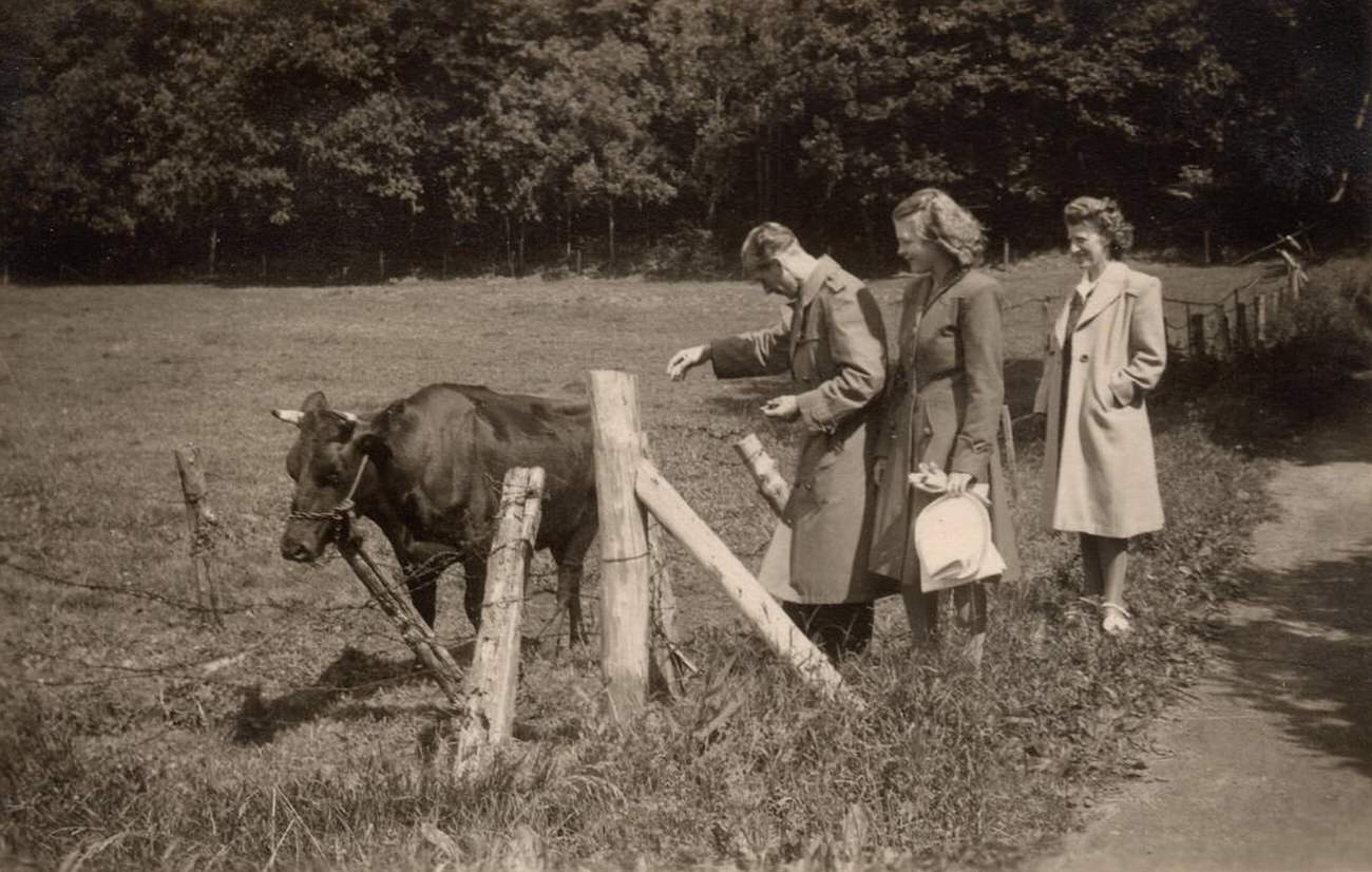 #65 Family and cow, Zealand, Denmark, 1930s