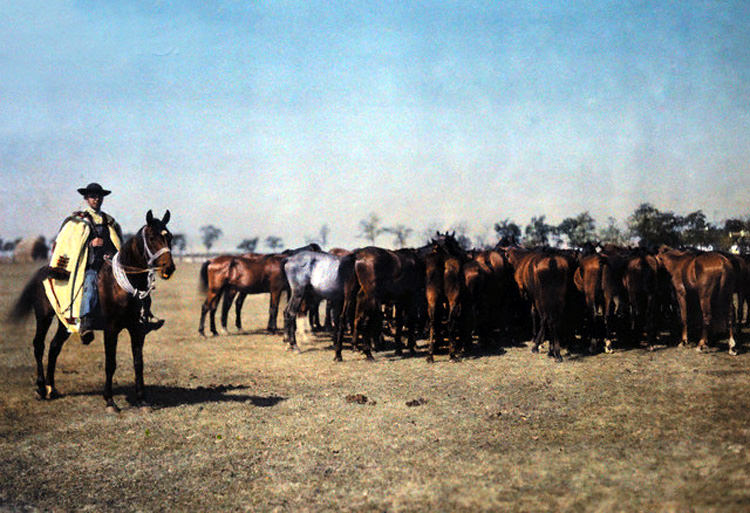 #1 A caped rider rounds up horses on the Hungarian puszta, 1932.