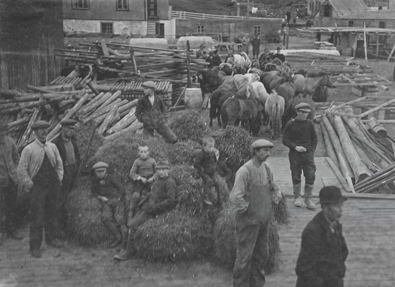 #31 Men and boys near the quayside in Eskifjördur, Iceland, with Icelandic horses, 1935.