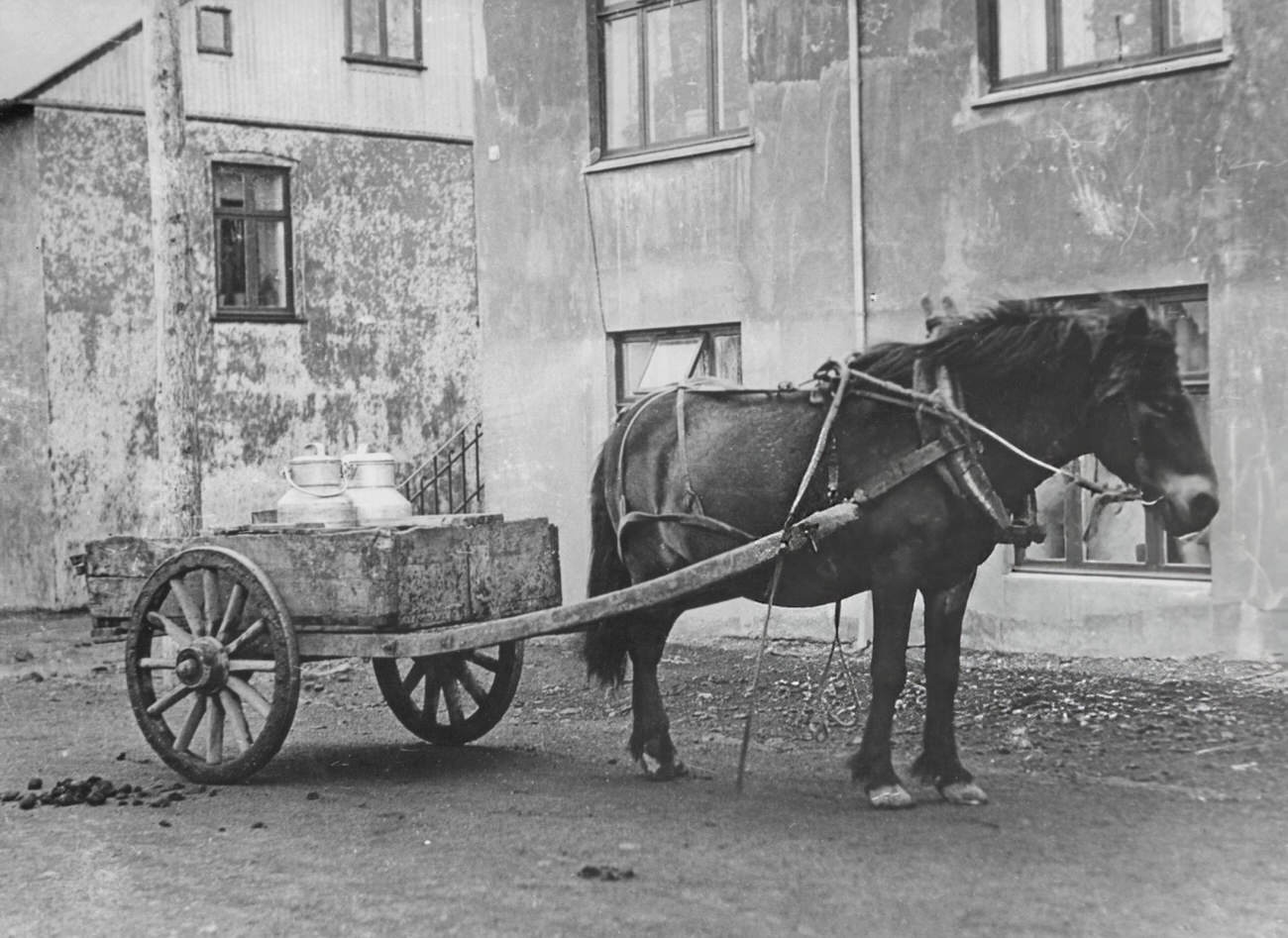 #40 Horse and cart delivering milk in Reykjavik, Iceland, 1935.