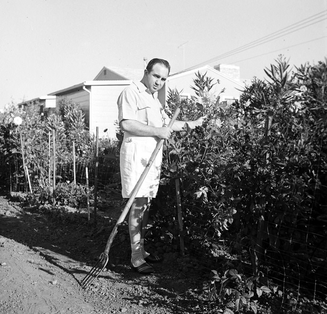 #8 Mickey Cohen at home in Los Angeles, 1949.