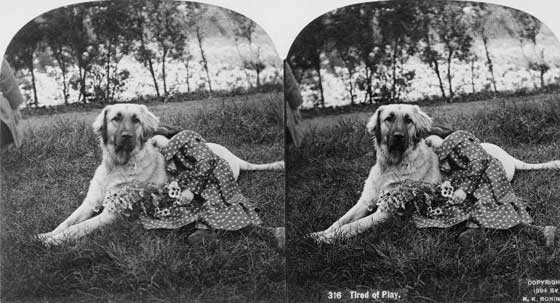 #10 A dog posing while its owner sleeps, 1894.