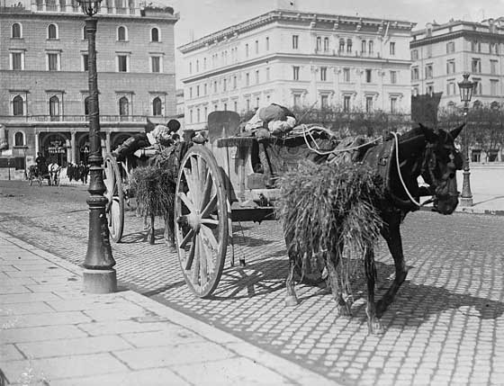 #3 Italian drivers sleeping in their carts in Rome, 1908.
