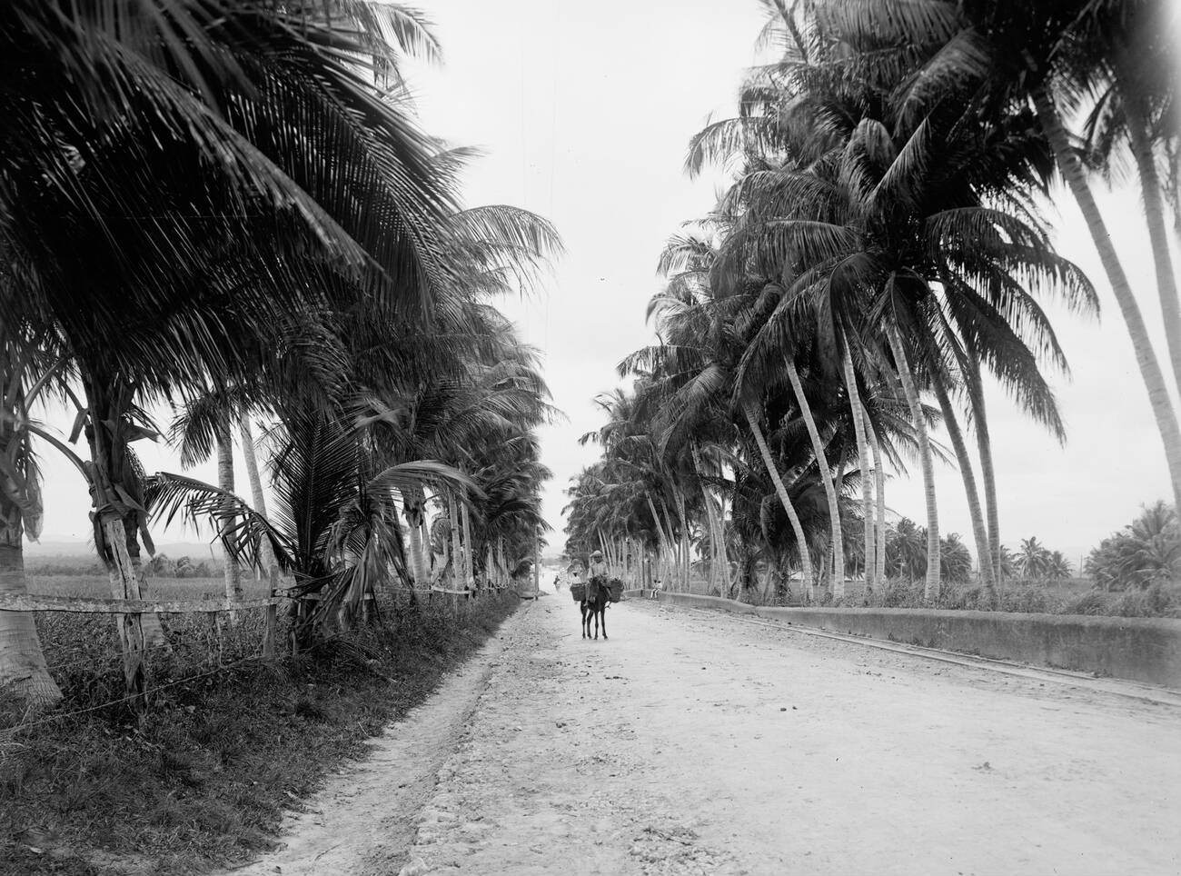 #7 A military road in San Juan, Puerto Rico, 1900s.