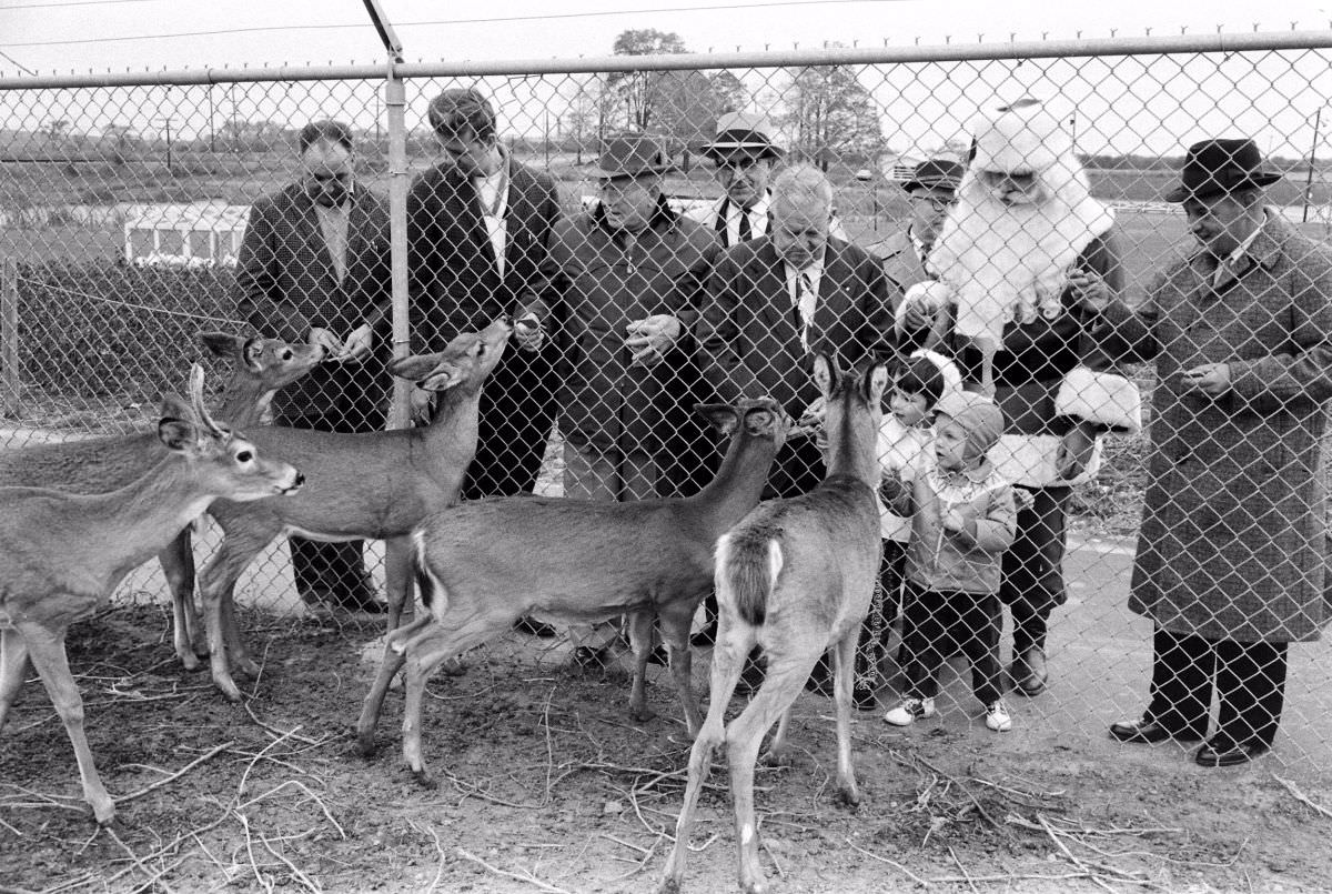 Feeding the deer at Charles Howard’s Santa Claus School, Albion, N.Y., 1961.