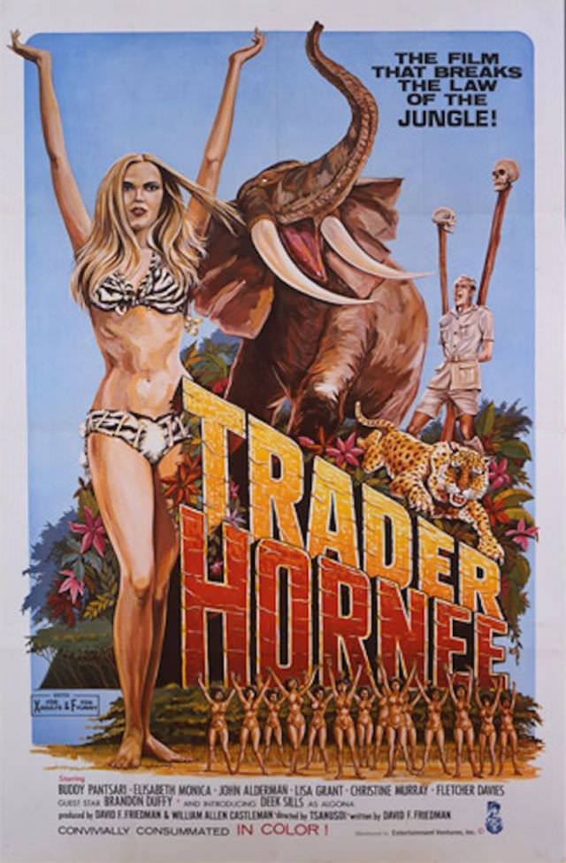 Laughs and Low Budgets: Exploring the Wild World of Old X-Rated Movie Posters Movies &; TV