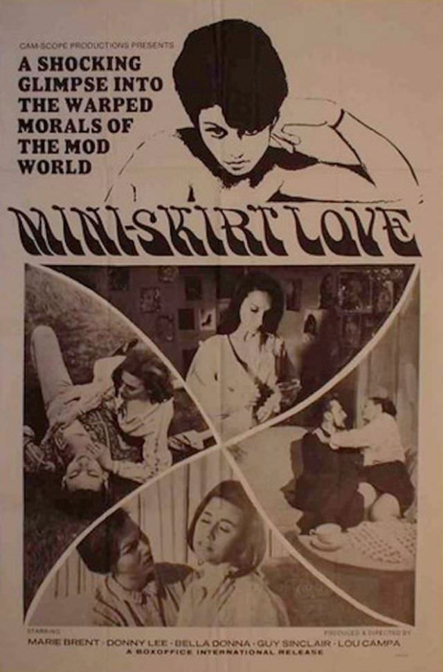 Laughs and Low Budgets: Exploring the Wild World of Old X-Rated Movie Posters Movies &; TV