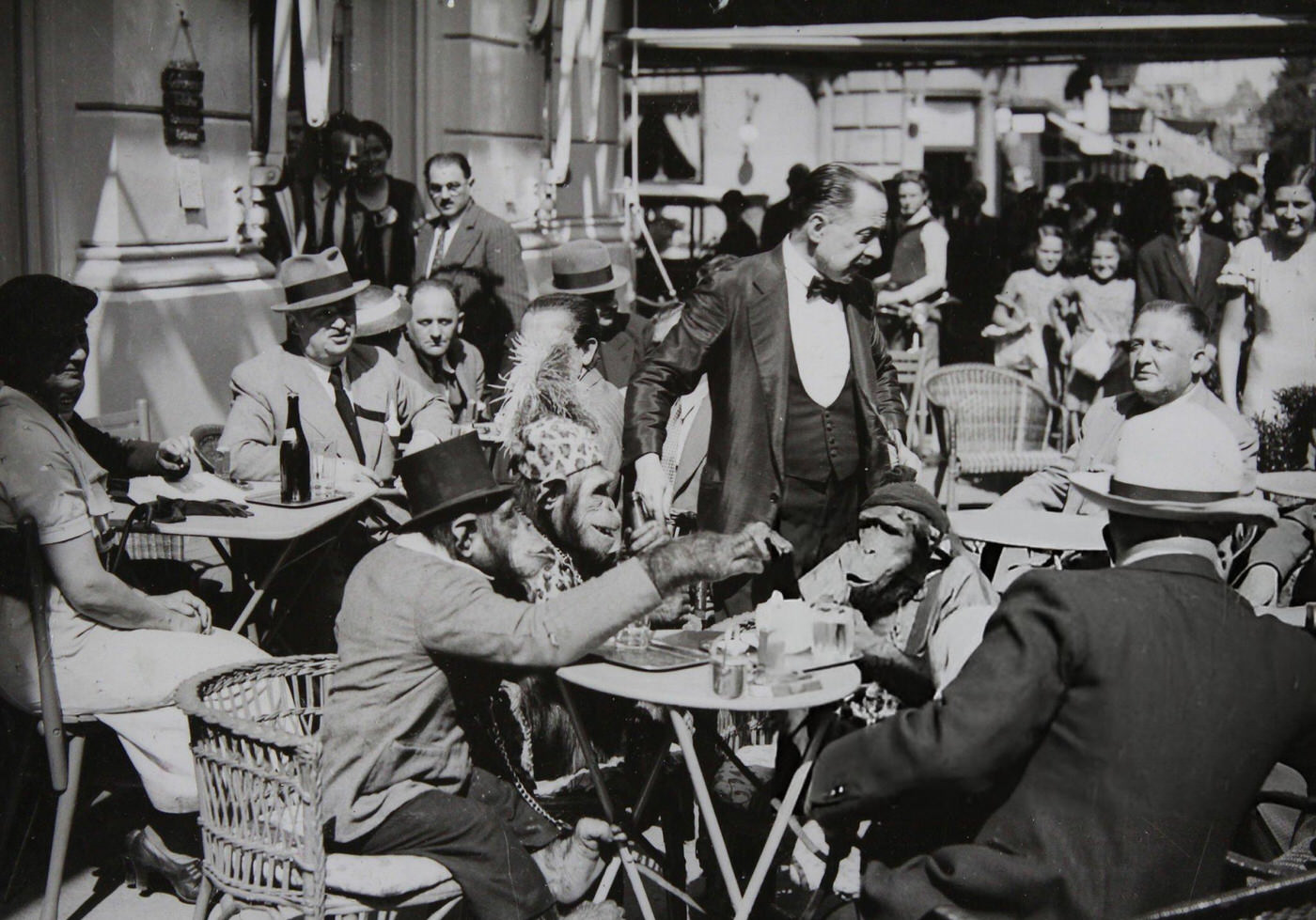 #65 Monkey family in a Vienna Ringstraße cafe, 1938.