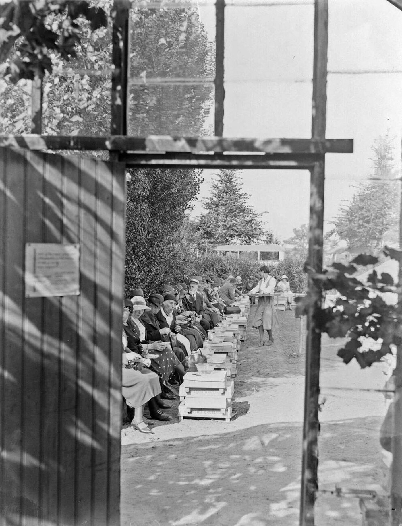 #14 Nursery visitors eat grapes in nursery J. van den Berg in Poeldijk, 1930s.
