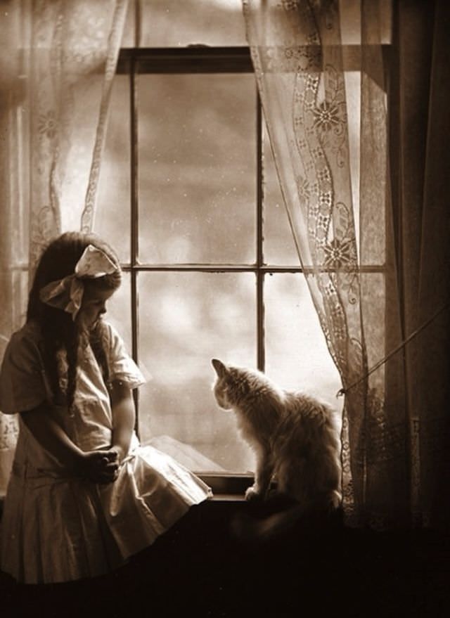 Lovely Vintage Photos of Little Girls with Their Beloved Cats Photography