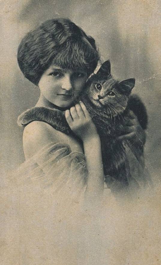 Lovely Vintage Photos of Little Girls with Their Beloved Cats Photography