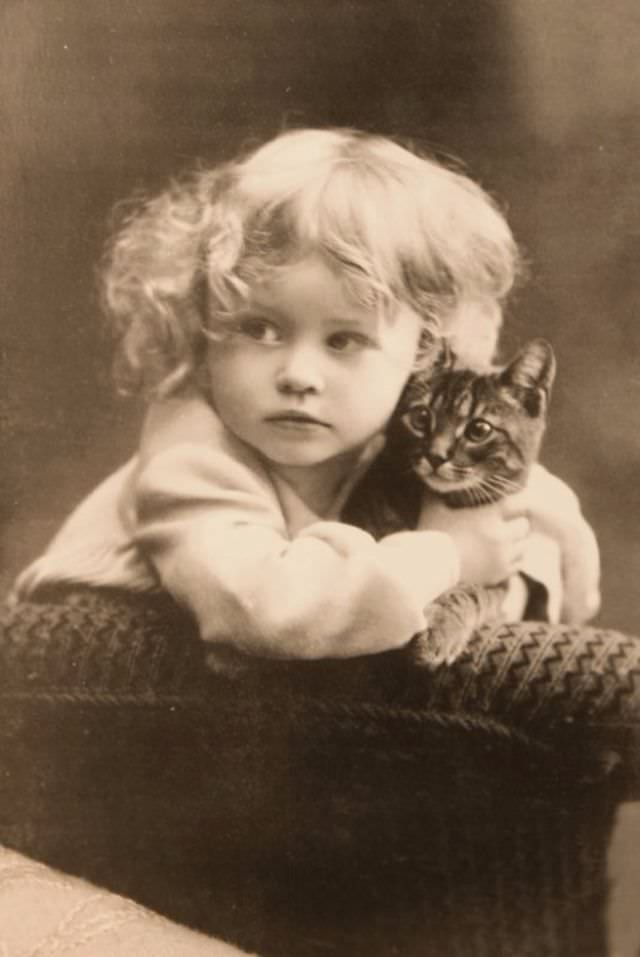 Lovely Vintage Photos of Little Girls with Their Beloved Cats Photography
