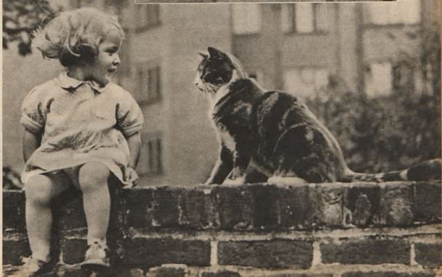 Lovely Vintage Photos of Little Girls with Their Beloved Cats Photography