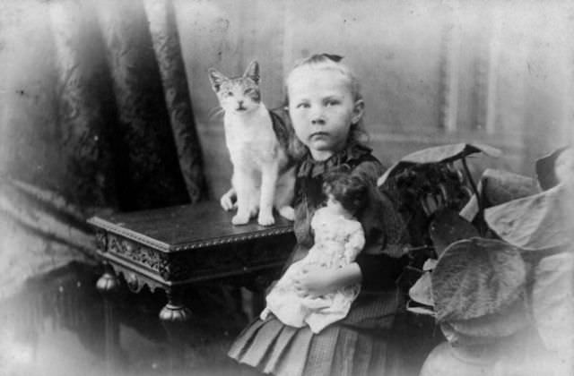 Lovely Vintage Photos of Little Girls with Their Beloved Cats Photography