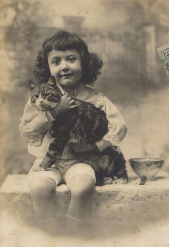 Lovely Vintage Photos of Little Girls with Their Beloved Cats Photography