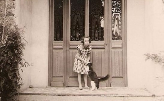 Lovely Vintage Photos of Little Girls with Their Beloved Cats Photography