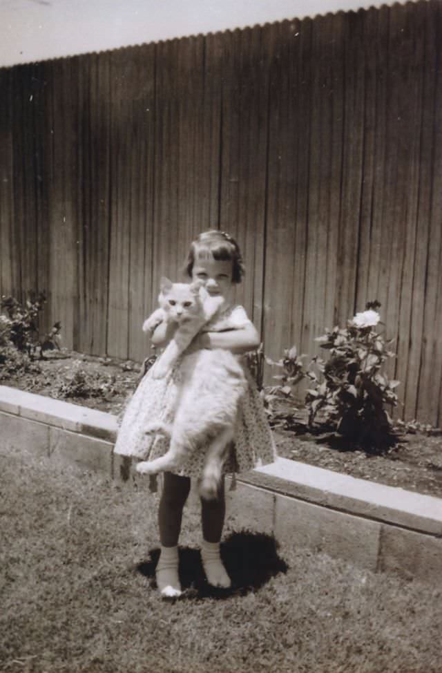 Lovely Vintage Photos of Little Girls with Their Beloved Cats Photography