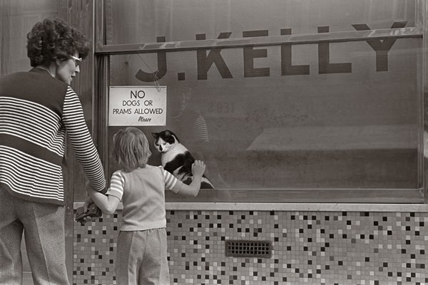 #5 At J.Kelly, Pie & Mash, Bethnal Green
