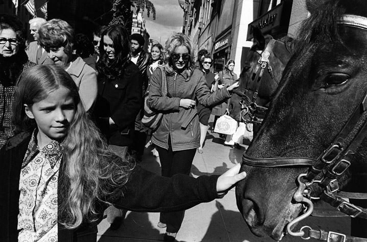#12 Girl and Woman Touching Horses, 1973