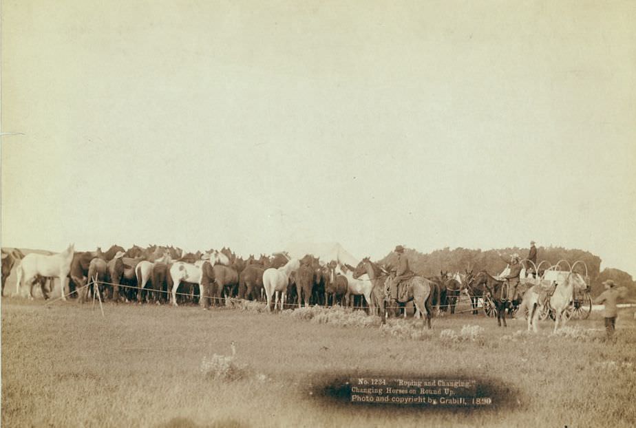 #19 Roping and changing horses on round up, 1890.