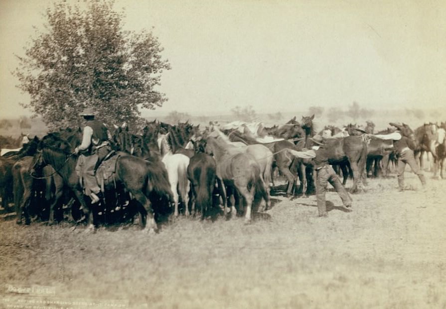 #22 Roping and changing scene at –T Camp on round up of –T. 999 –S. & G., A.U.T. and others on Cheyenne River, 1890s.
