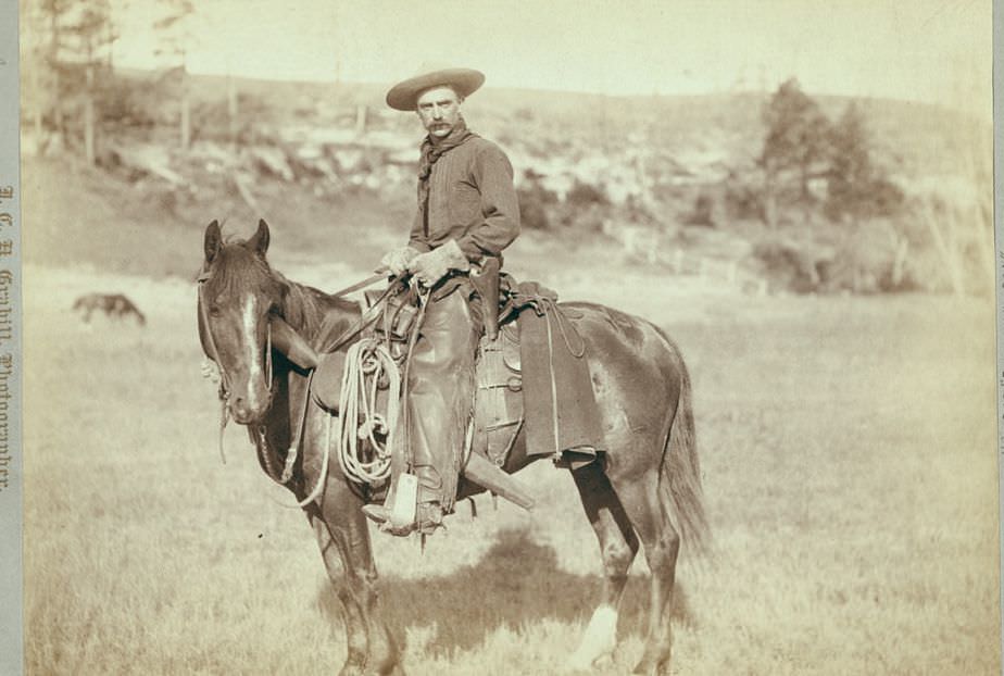 #28 “The Cow Boy”, 1888.