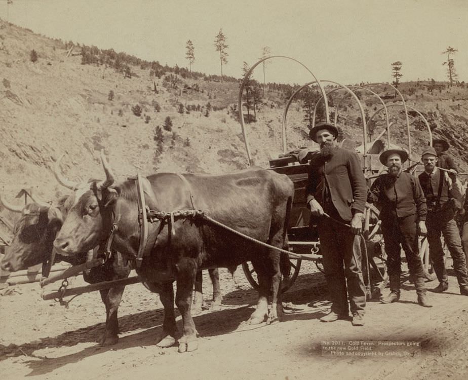 #39 Prospectors going to the new Gold Field, 1889.