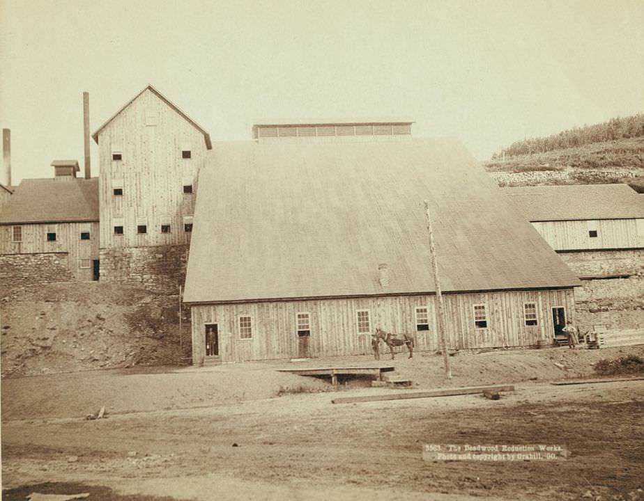 #46 The Deadwood Reduction Works, 1890.