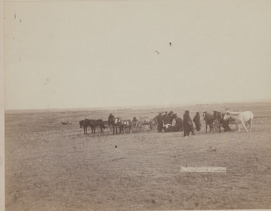 #51 Skinning beef at beef issue, 1891.