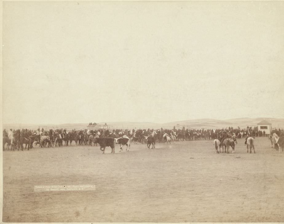#53 Beef issue to Indians at Pine Ridge, 1891.