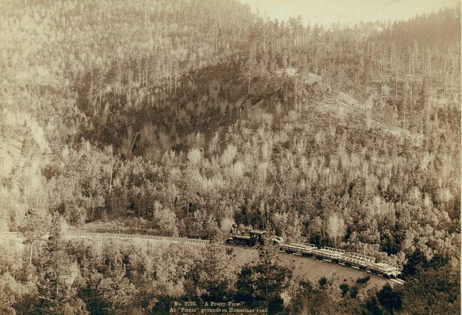 #78 “A pretty view” at “picnic” grounds on Homestake Road, 1890.