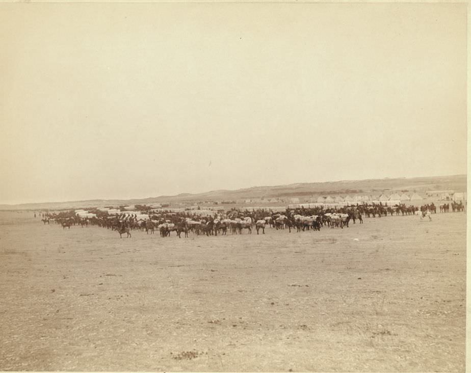 #93 Grand review, 1890s.