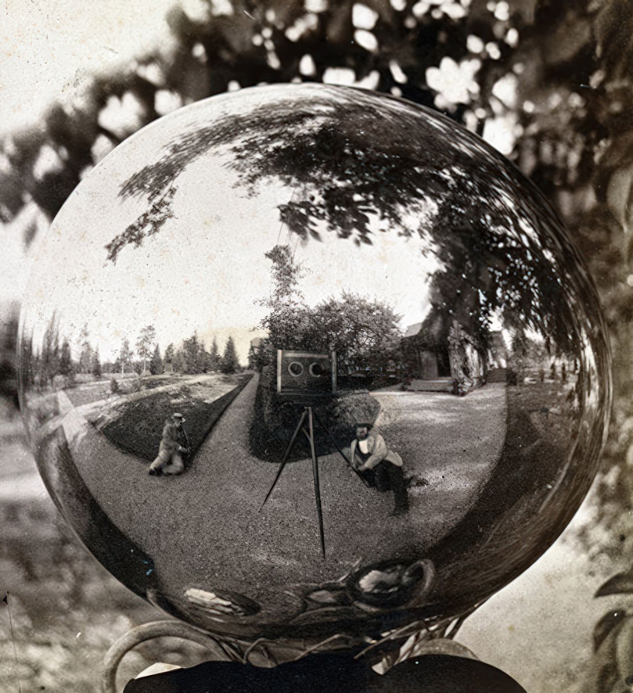 This stereo card is labeled “Finley &; Sons, Photographers, Canandaigua, N.Y.” On the back is a label “View at Sonnenberg, the residence of F.F.Thompson, Canandaigua, N.Y.” and in ink “The Glass Bubble”. Reflected in the gazing ball is a house and garden, a stereo camera on a tripod and two men reclining on the path. The “Artistic” size mount suggests a 1870s date.
