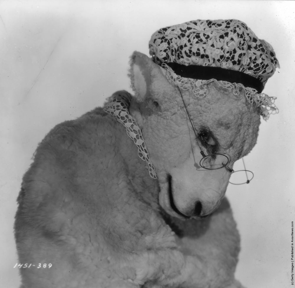 Mae Marsh as The Sheep in Paramount’s “Alice in Wonderland,” 1933