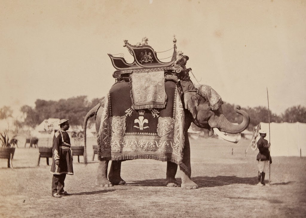 #91 Caparisoned Elephant, 1870s.