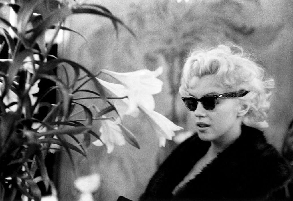 Marilyn Monroe in New York: A Week in 1955 Through Ed Feingersh’s Lens Celebrities