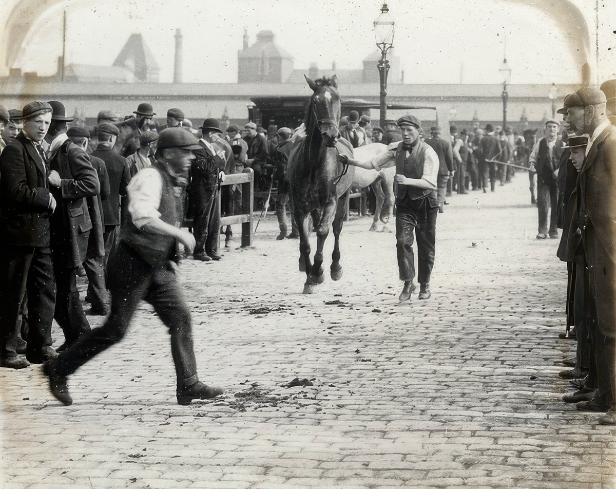 #11 Caledonian Road Market, 1910