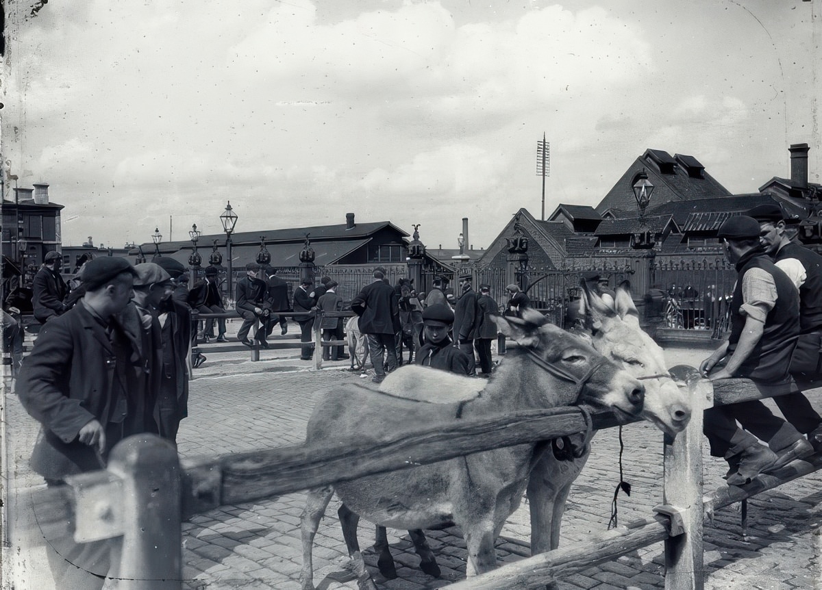 #12 Caledonian Road Market, 1910