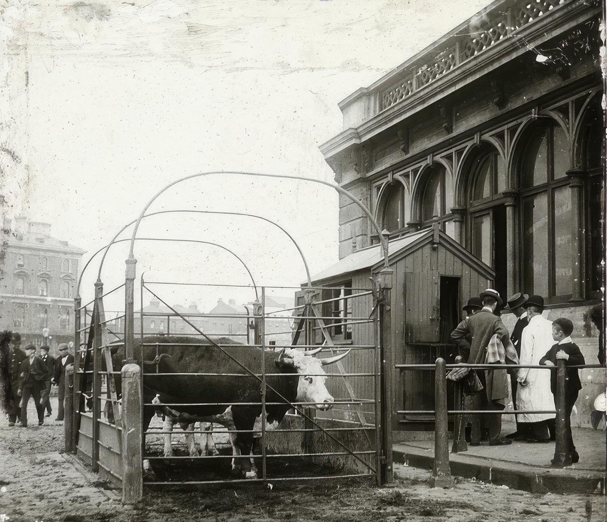 #4 Caledonian Road Market, 1910