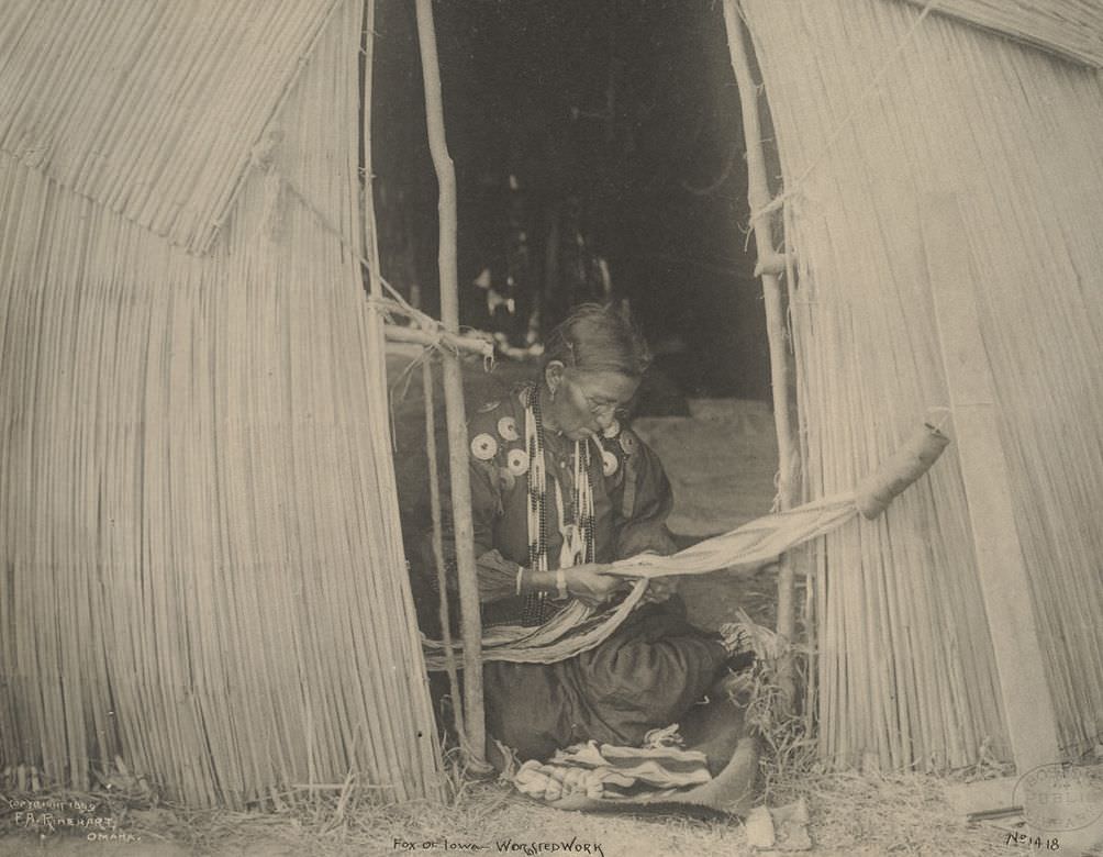 #16 Fox of Iowa, with worsted work.