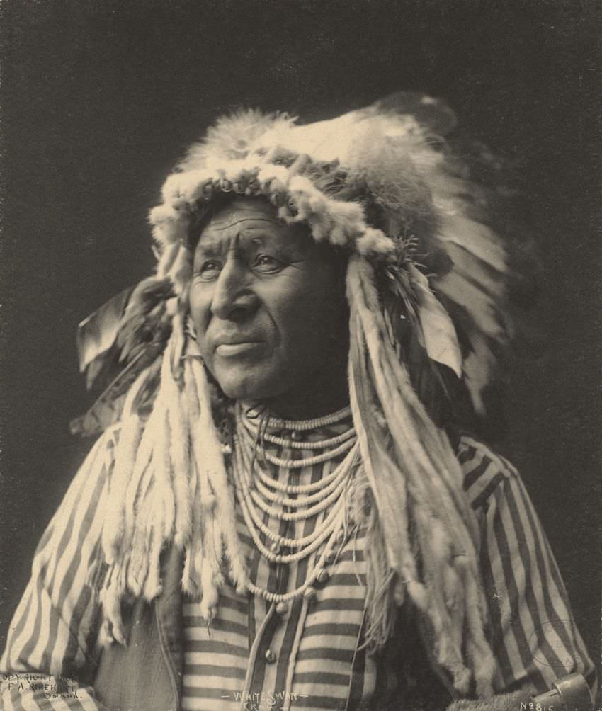 #21 White Swan, Crow.