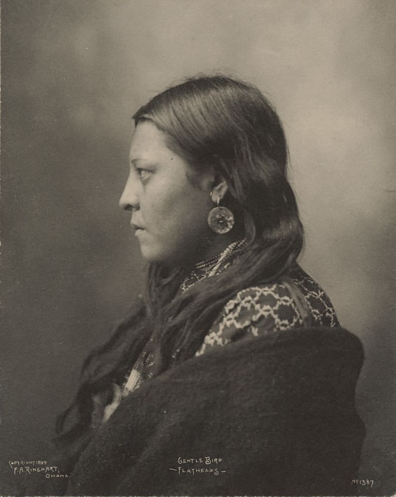 #51 Gentle Bird, Flathead.