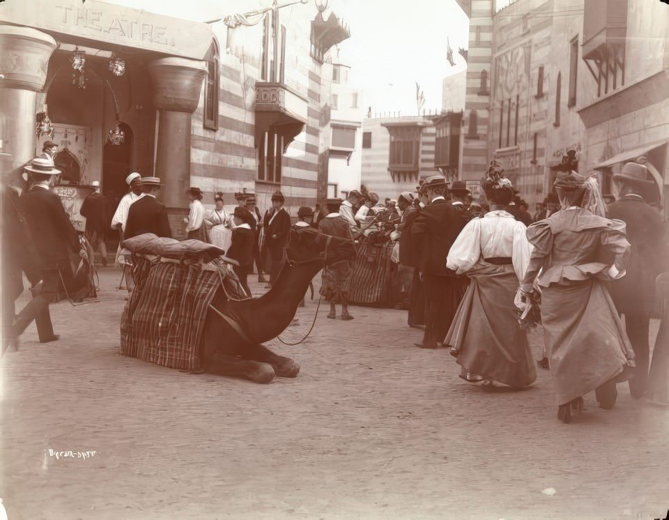 #5 Crowd wandering through the “Streets of Cairo” show with camels at Coney Island, ca 1896.